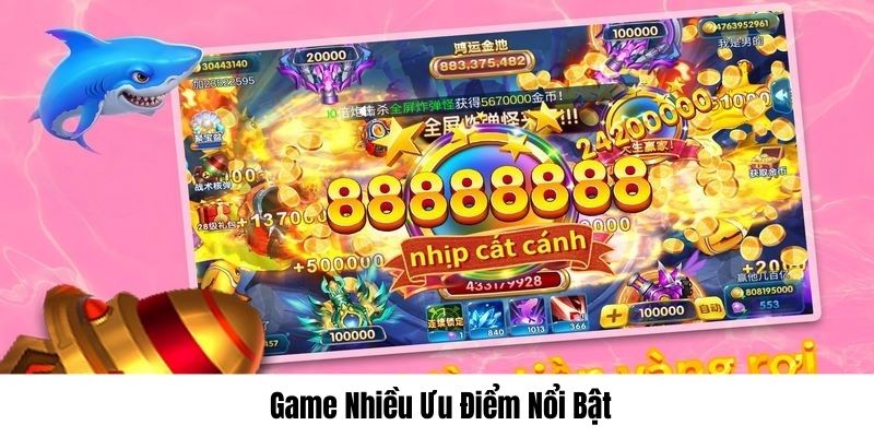 Xu Vàng sở hữu hàng loạt ưu điểm hấp dẫn