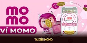 Tài xỉu momo